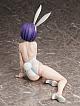 FREEing To LOVE-ru Darkness Sairenji Haruna Nama-ashi Bunny Ver. 1/4 Plastic Figure gallery thumbnail