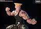 BANDAI SPIRITS S.H.Figuarts Guile -Outfit 2- gallery thumbnail