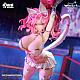 AniMester Nyan Nyan Joshi Wrestler Casey 1/6 Plastic Figure gallery thumbnail