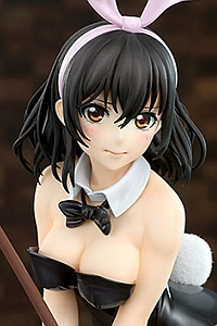 ques Q Strike the Blood Himeragi Yukina Bunny Girl Style 1/7 Plastic Figure