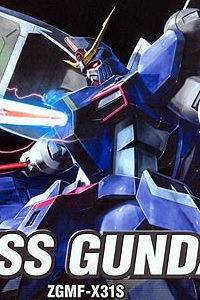 Gundam SEED HG 1/144 ZGMF-X31S Abyss Gundam