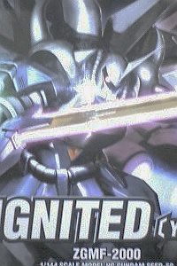 Gundam SEED HG 1/144 ZGMF-2000 Gouf Ignited Yzak Joule Unit