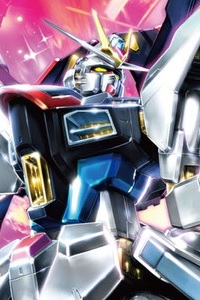 Gundam SEED MG 1/100 ZGMF-X20A Strike Freedom Gundam Extra Finish Ver.