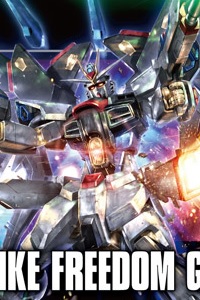 Gundam SEED HG 1/144 ZGMF-X20A Strike Freedom Gundam
