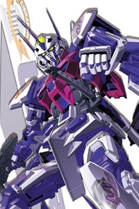 Gundam SEED 1/100 MBF-P05LM Gundam Astray Mirage Frame