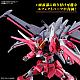 Gundam SEED HG 1/144 ZGMF-X191M2 Infinite Justice Gundam TypeII gallery thumbnail