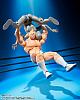 BANDAI SPIRITS S.H.Figuarts Kinnikuman -Kanpeki Choujin Shiso-hen- gallery thumbnail