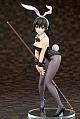 ques Q Strike the Blood Himeragi Yukina Bunny Girl Style 1/7 Plastic Figure gallery thumbnail