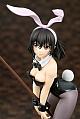 ques Q Strike the Blood Himeragi Yukina Bunny Girl Style 1/7 Plastic Figure gallery thumbnail